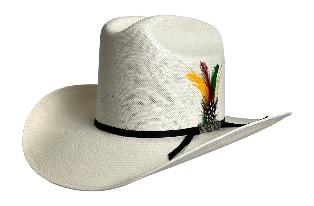 Cuernos Chuecos 100X Sombrero Estilo Durango