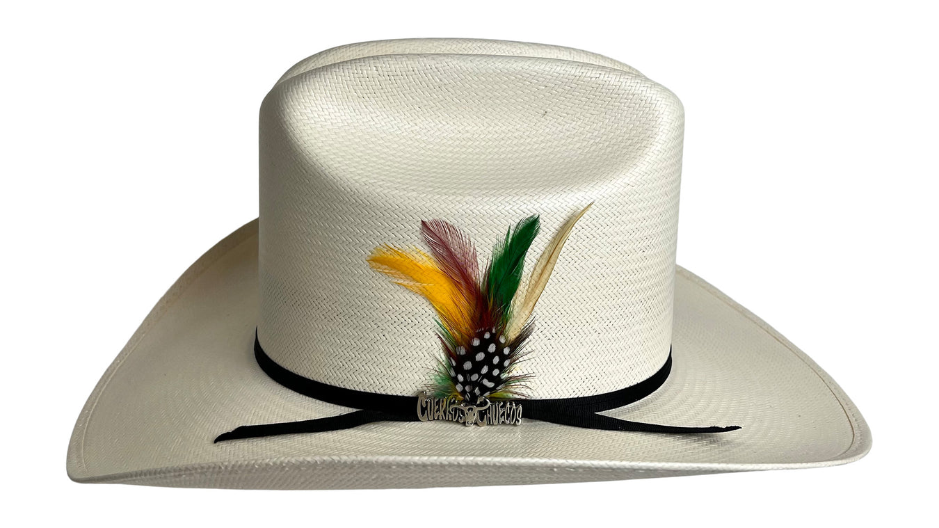 Cuernos Chuecos Collection